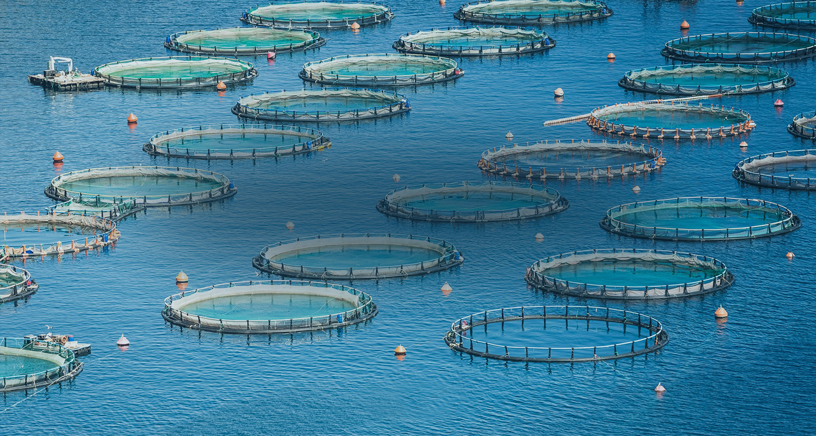 Aquaculture – FloNergia Systems Inc.